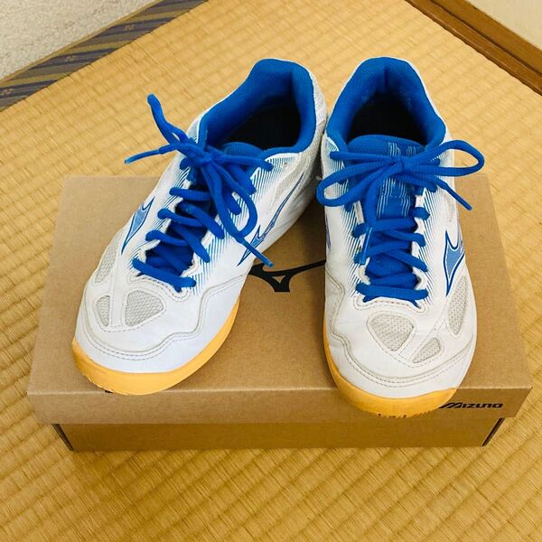 MIZUNOミズノ バドミントンシューズ スカイブラスター3 ブルー系 21cm