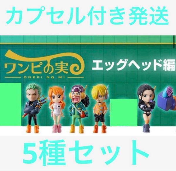 ONE PIECE ワンピース ワンピの実 エッグヘッドコレクション 5種セット
