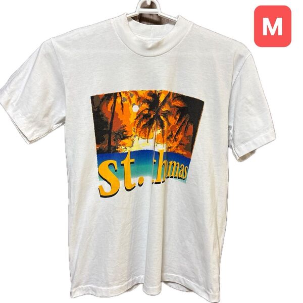 PRINCESS CRUISES 半袖Tシャツ メンズ Mサイズ プリント柄