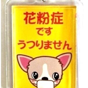 花粉症お知らせキーホルダー(他の組み合せにも変更可能)