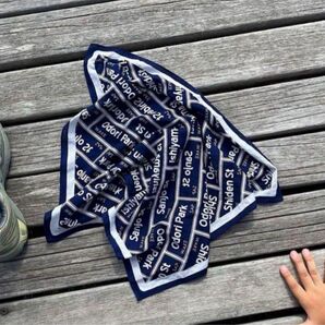 WAKE. sapporo sbq bandanna