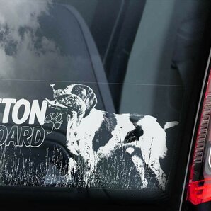 ◆ブルトン(ブリタニー・スパニエル)@外張り カーステッカー 220×100mm外貼り カー ステッカー ウインドウ シール DOG ON BOAD@D2@3028-1