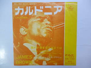 ◆ Japan Rare 7&#34;, 45 RPM, Single JAMES BROWN ジェームスブラウン / カルドニア / Caldonia 1964年 ビクター シングル盤 M-1086 