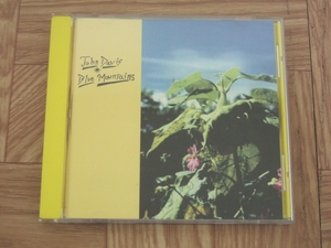 【CD】ジョン・デイヴィス John Davis / Blue Mountain