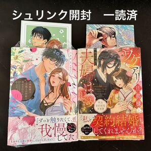 ワケアリ旦那様と夫婦はじめます。 / 清純戦闘力1万超えの同期と視えるわたし