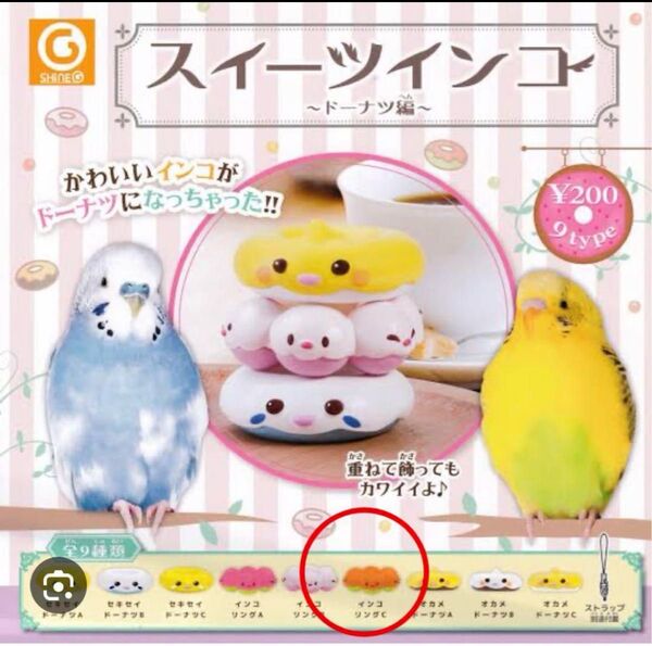 スイーツインコ ドーナツ編 ボタンインコガチャガチャ