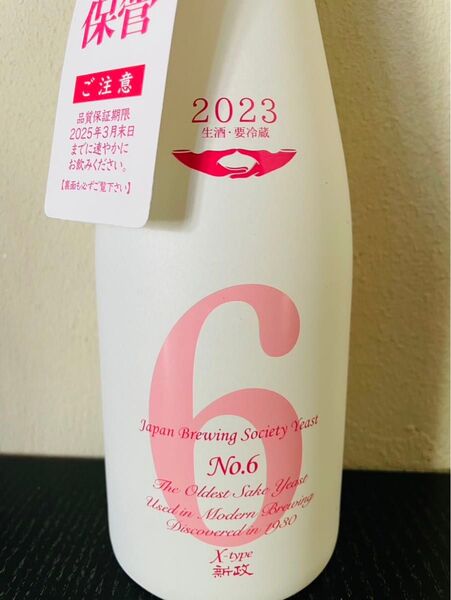 新政 No.6 X-type
