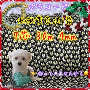 ☆★パラコード★☆7芯 30m 4mm☆★251番★手芸とアウトドアなど用★