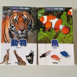 動物と魚の図鑑 Gakken ポケット版