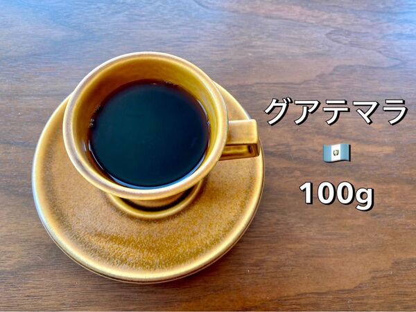 自家焙煎 コーヒー豆 自家焙煎珈琲豆 グアテマラ ファンシーサンタロッサ 100g