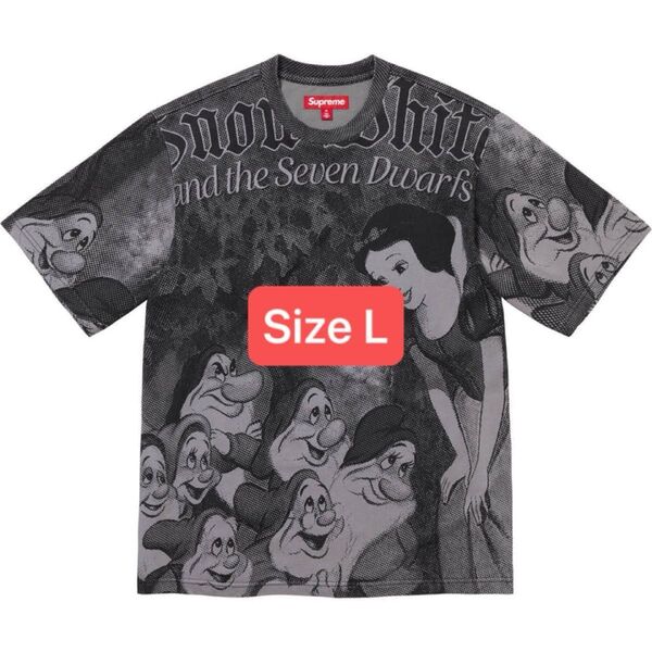 Supreme Snow White S/S Top "Grey"