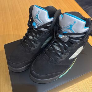 NIKE AIR JORDAN 5 “AQUA” 29cm