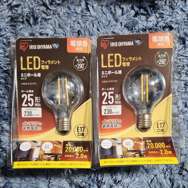 エコハイルクス LED電球 ミニボール球 LDG2L-G-E17-FC (電球色)2個セット