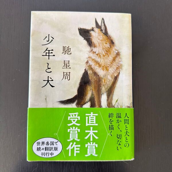 少年と犬 (文春文庫 は25-10) 馳星周/著