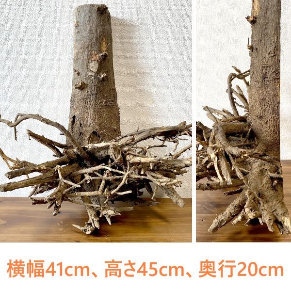 いけばなに使用した枯れ木 中古オブジェ いけばなに使用した枯れ木 中古オブジェ (2024年最新】Yahoo