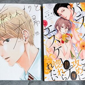 BL漫画 コミック 2冊セット 悠 ウチヤ