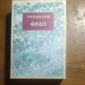 芹沢光治良文学館 1 芹沢光治良/著 訳あり