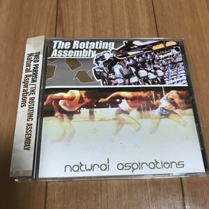 Theo Parrish presents The Rotating Assembly / Natural Aspirations - P-Vine Records