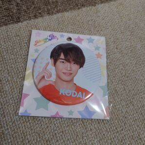 中村浩大 缶バッジ ジャニーズショップ 限定 Special わっしょいCAMP!