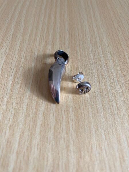 【未使用品】ライオンハート ピアス ペンダント セット