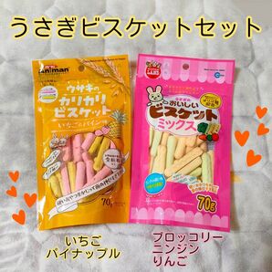 うさぎ オヤツ ビスケット セット
