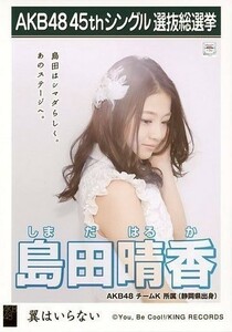 4935島田晴香/CD「翼はいらない」劇場盤特典生写真