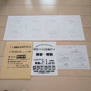 早稲田アカデミー☆NN早実クラス11月度まとめテスト☆2024年受験用