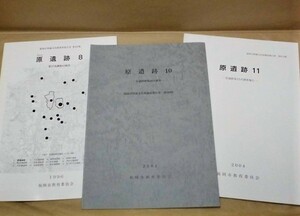 ［3点］原遺跡 8、原遺跡 10、原遺跡 11　福岡市教育委員会 1996～2004（福岡市埋蔵文化財調査報告書 第444集、第688集、第818集