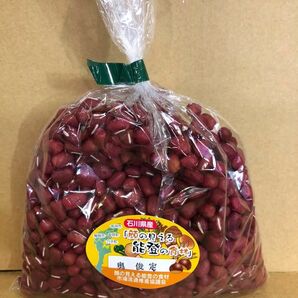 能登あずき600g袋 コンパクトボックス対応