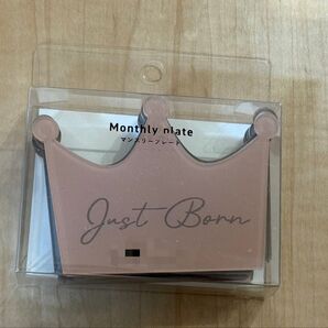新品未開封 マンスリープレート 月齢プレート