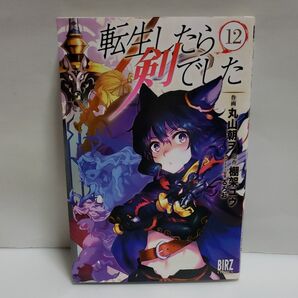 転生したら剣でした 12