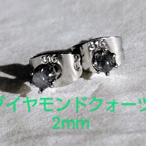 ダイヤモンドクォーツ2mm316Lシルバーピアス