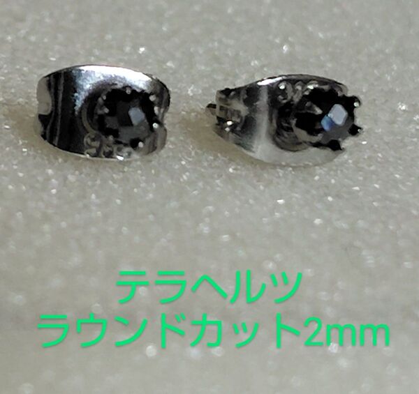 テラヘルツラウンドカット2mm316Lシルバーピアス