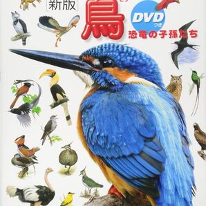 小学館の図鑑NEO 鳥