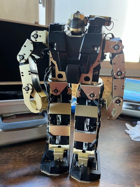 DeAGOSTINI 二足歩行 ROBOZAK デアゴスティーニ ロボザック