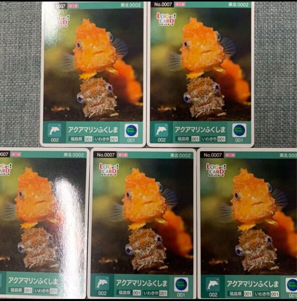 アクアマリンふくしま ロゲッドカード