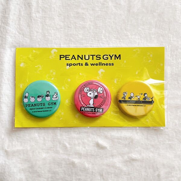 スヌーピー PEANUTS GMY マグネットセット イベント 限定