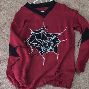 Vネックレディースセーター