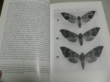 インドネシアのカザリシロチョウDelias新記載、Nachrichten des Entomologischen Vereins Apollo,NF19(1)　ドイツの昆虫雑誌_画像3