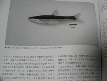 豊橋市自然史博物館研究報告29号 魚類 甲虫 貝類 淡水動物 カニ_画像5