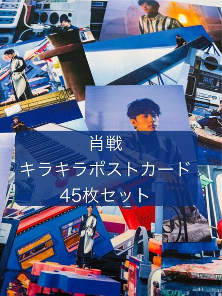 【新品】肖戦 シャオジャン 漂流 キラキラポストカード 45枚セット