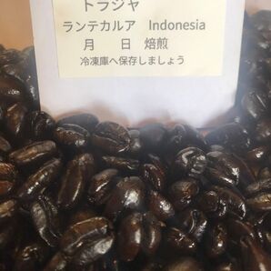 トラジャ ランテカルア300g