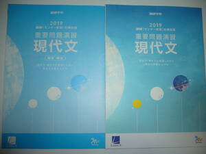 2019年　進研 センター試験 対策国語　重要問題演習　現代文　ベネッセ　進研学参　