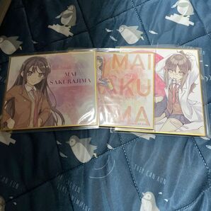 青ブタ 桜島麻衣 双葉 色紙