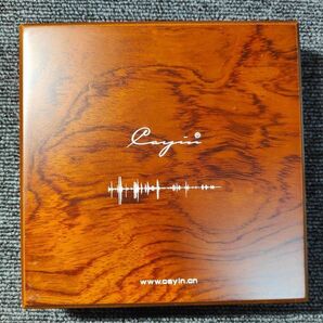 Cayin CS-30TCR Type-C to RCA 同軸ケーブル