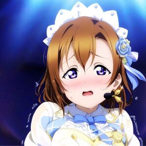 ラブライブ μ's 高坂穂乃果 ブロマイド 写真 L判 同人 10枚