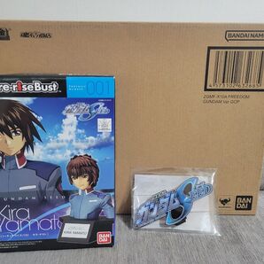 超合金 ZGMF-X10A フリーダムガンダム Ver.GCP 国内正規品 輸送箱未開封 おまけ付き