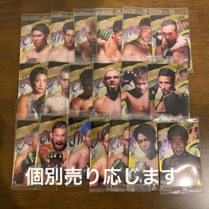 RIZINウエハース カード