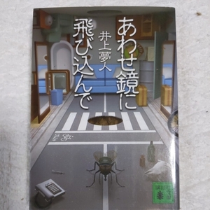 a.. зеркало . скол включено ..(.. фирма библиотека ) Inoue Yumehito 9784062761659