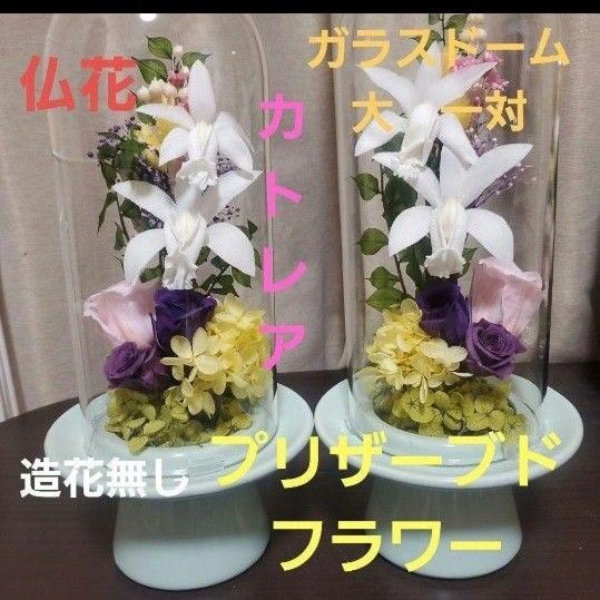 特選仏花 お供え花カトレア 造花無し ガラスドーム大 一対 プリザーブドフラワー